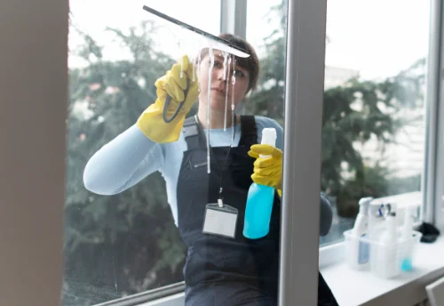 Nettoyage de vitres intérieures et extérieures à Rouvray